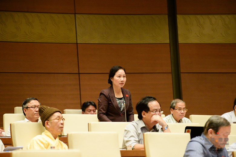 db%20nguyen%20thi%20phuc%20-%20tinh%20binh%20thuan%20-%20luat%20hoat%20dong%20gs%20cua%20qh,%20hdnd.jpg