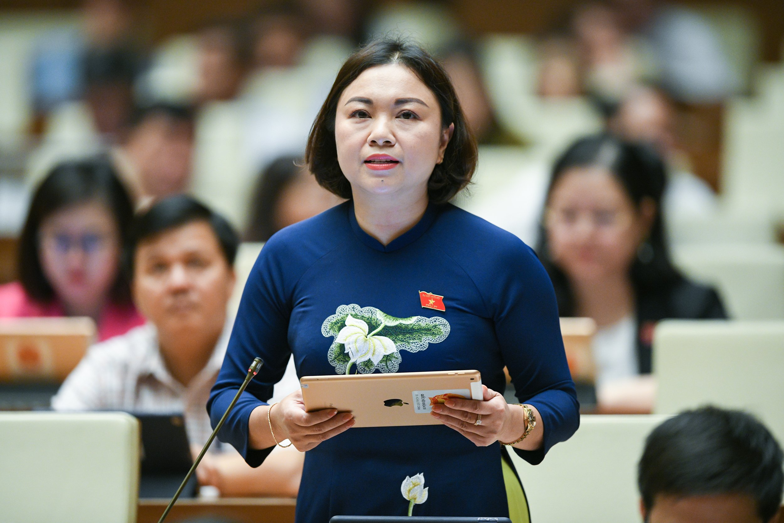 Quốc hội biểu quyết thông qua Luật Thanh tra (sửa đổi), Luật Dầu khí (sửa đổi) và thảo luận về dự án Luật Đất đai (sửa đổi) - 5