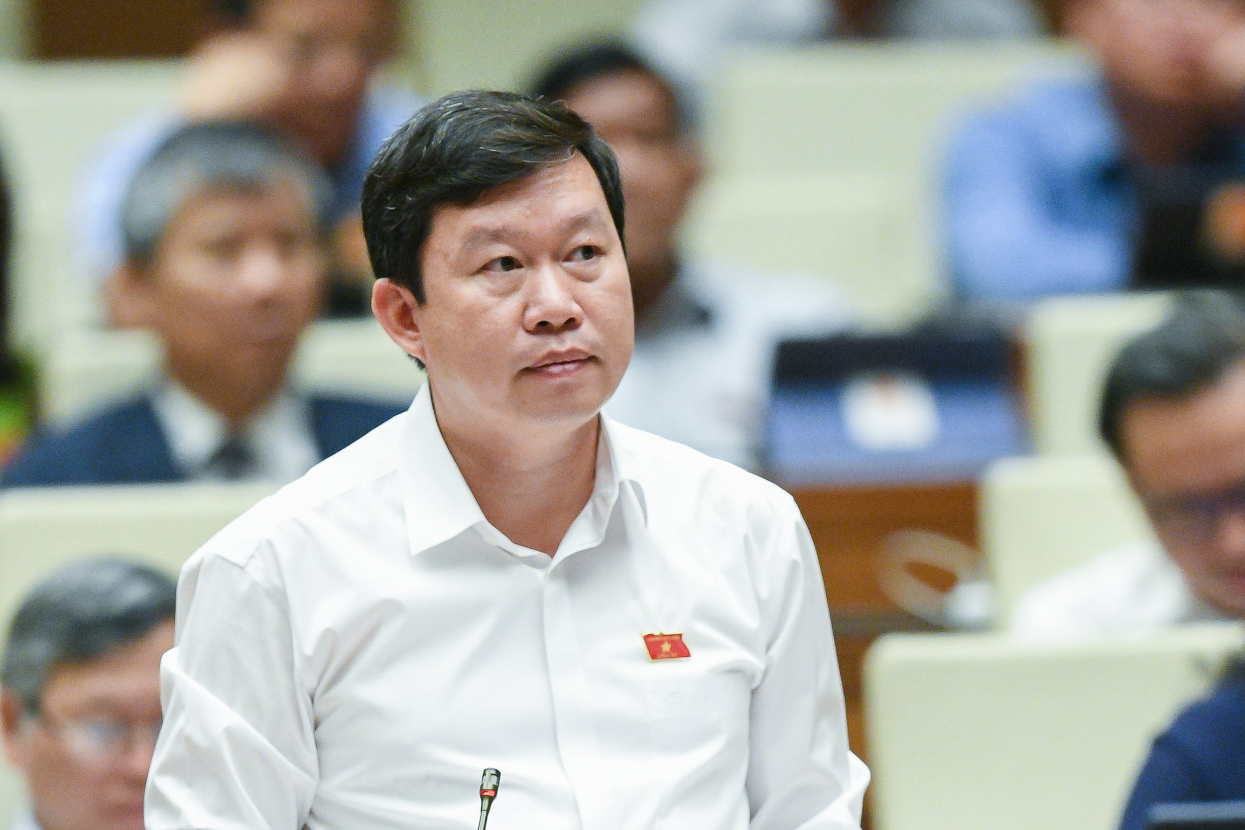 Quốc hội biểu quyết thông qua Luật Thanh tra (sửa đổi), Luật Dầu khí (sửa đổi) và thảo luận về dự án Luật Đất đai (sửa đổi) - 18