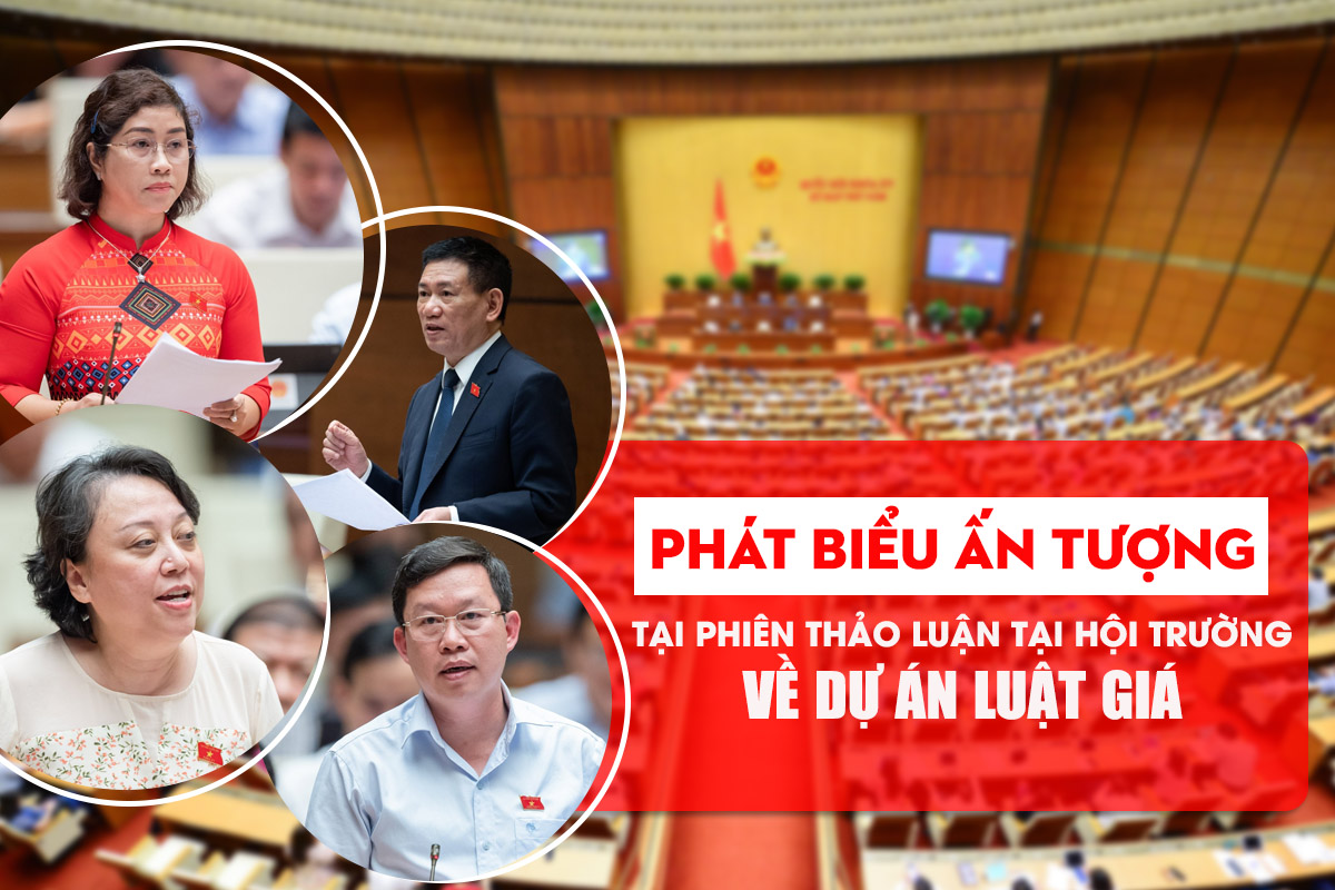 PHÁT BIỂU ẤN TƯỢNG TẠI PHIÊN THẢO LUẬN TẠI HỘI TRƯỜNG VỀ DỰ ÁN LUẬT GIÁ (SỬA ĐỔI)