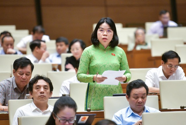 ĐBQH NGUYỄN THỊ NGỌC XUÂN: BỔ SUNG ĐỐI TƯỢNG TỪ ĐỦ 12 TUỔI ĐẾN DƯỚI 14 TUỔI LÀ ĐỐI TƯỢNG ĐƯỢC ÁP DỤNG BIỆN PHÁP XỬ LÝ CHUYỂN HƯỚNG