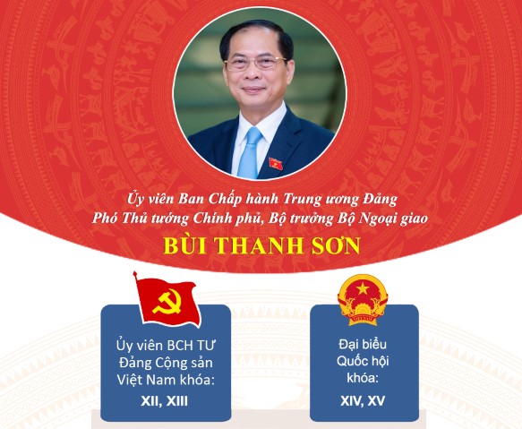 Tóm tắt Tiểu sử Phó Thủ tướng Chính phủ, Bộ trưởng Bộ Ngoại giao Bùi Thanh Sơn