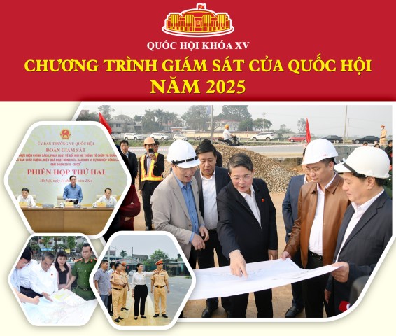 CHƯƠNG TRÌNH GIÁM SÁT CỦA QUỐC HỘI NĂM 2025