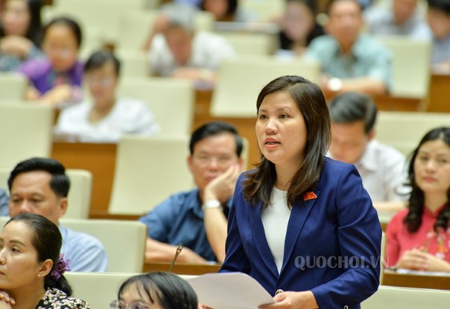 ĐBQH ĐINH THỊ PHƯƠNG LAN – QUẢNG NGÃI: CẦN NGHIÊN CỨU BỔ SUNG CÁC NGUYÊN TẮC ĐỐI VỚI GIÁO DỤC THƯỜNG XUYÊN