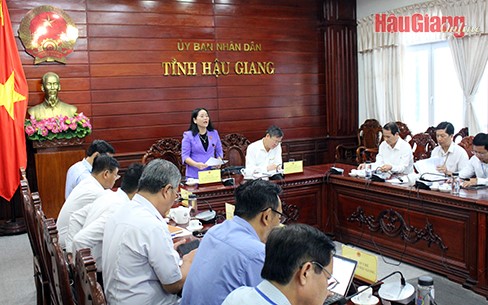 ĐOÀN ĐBQH TỈNH HẬU GIANG GIÁM SÁT CHUYÊN ĐỀ TẠI UBND TỈNH