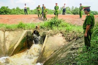 GÓC NHÌN ĐẠI BIỂU: SỚM BAN HÀNH VĂN BẢN HƯỚNG DẪN XỬ LÝ TRÁCH NHIỆM HÌNH SỰ ĐỐI VỚI PHÁP NHÂN THƯƠNG MẠI