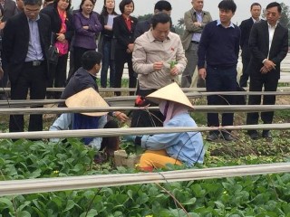 Đoàn giám sát của Quốc hội về an toàn thực phẩm làm việc tại huyện Đông Anh