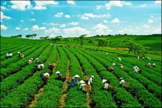 ĐBQH THẠCH PHƯỚC BÌNH: CHẤT VẤN BỘ TRƯỞNG BỘ KH&CN VỀ QUY TRÌNH CÔNG NHẬN NHÃN HIỆU, BẢN QUYỀN SÁNG CHẾ