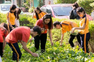 ĐBQH PHAN THỊ BÌNH THUẬN: CẦN CHÚ TRỌNG ĐÚNG MỨC VIỆC GIÁO DỤC KỸ NĂNG SỐNG CHO HỌC SINH